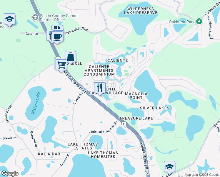 map of restaurants, bars, coffee shops, grocery stores, and more near 21224 San Pablo Drive in Land O' Lakes