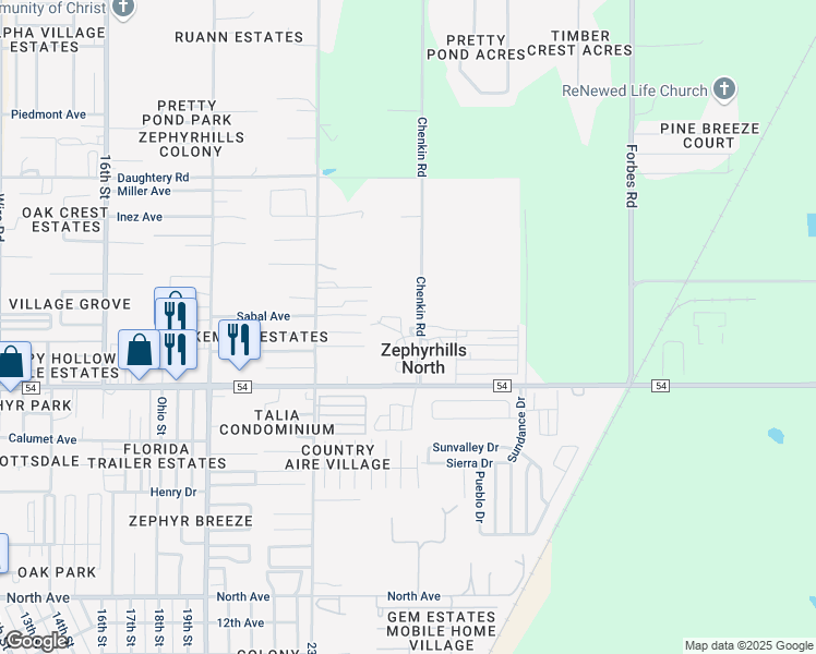 map of restaurants, bars, coffee shops, grocery stores, and more near 39443 Bloss Drive in Zephyrhills