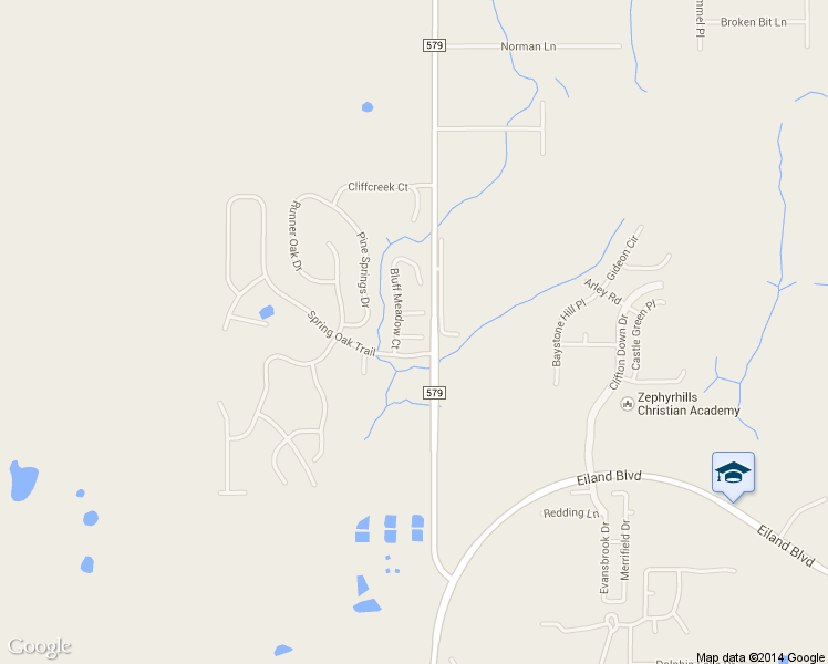 map of restaurants, bars, coffee shops, grocery stores, and more near 34435 Blue Ash Court in Wesley Chapel