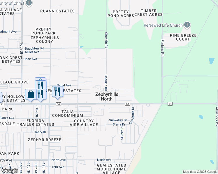map of restaurants, bars, coffee shops, grocery stores, and more near 39531 Rabbit Run in Zephyrhills
