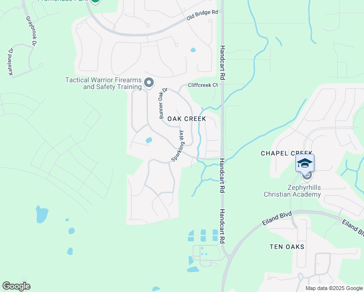 map of restaurants, bars, coffee shops, grocery stores, and more near 6625 Sparkling Way in Wesley Chapel