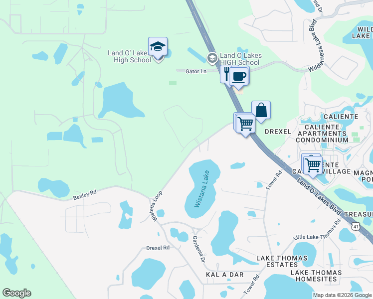 map of restaurants, bars, coffee shops, grocery stores, and more near 20416 Monza Loop in Land O' Lakes