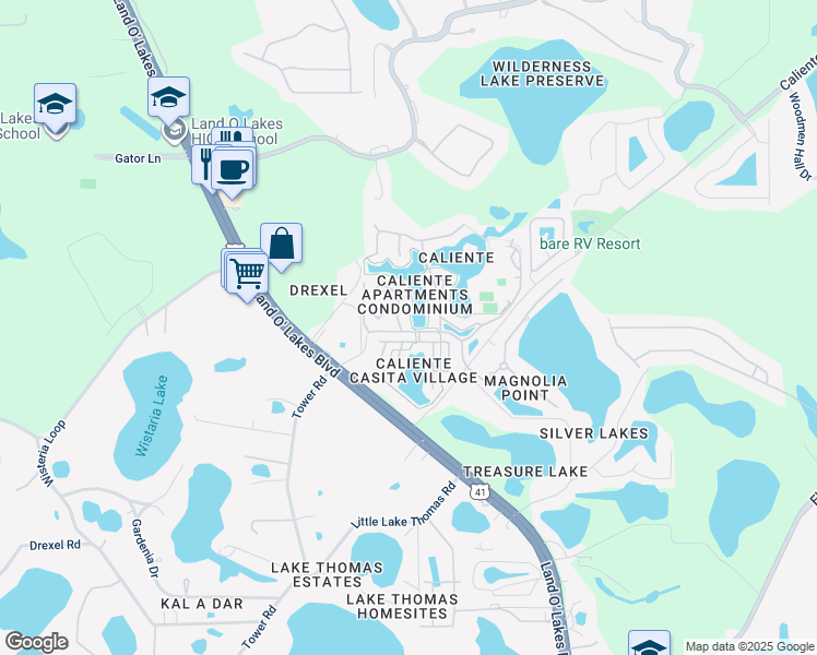 map of restaurants, bars, coffee shops, grocery stores, and more near 6714 Dali Avenue in Land O' Lakes