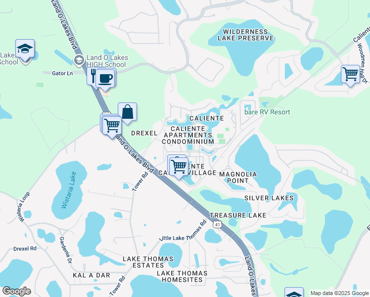 map of restaurants, bars, coffee shops, grocery stores, and more near 6714 Dali Avenue in Land O' Lakes