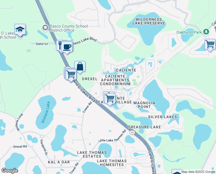 map of restaurants, bars, coffee shops, grocery stores, and more near 21011 Picasso Court in Land O' Lakes