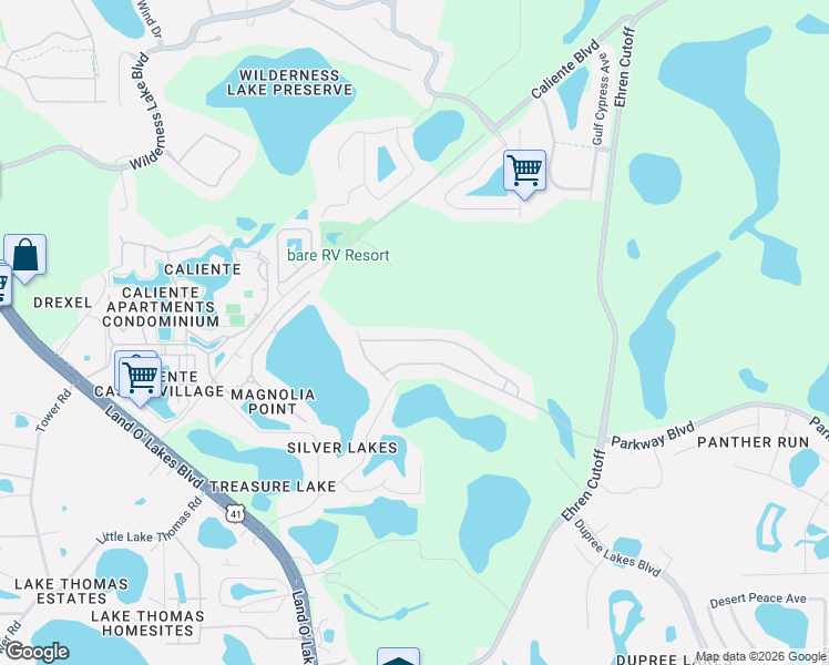 map of restaurants, bars, coffee shops, grocery stores, and more near 21711 Amelia Rose Way in Land O' Lakes