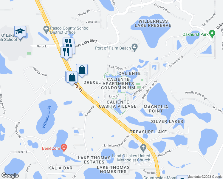 map of restaurants, bars, coffee shops, grocery stores, and more near 21032 Picasso Court in Land O' Lakes
