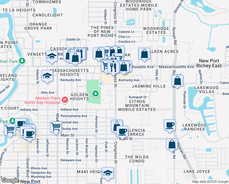 map of restaurants, bars, coffee shops, grocery stores, and more near 6716 Congress Street in New Port Richey