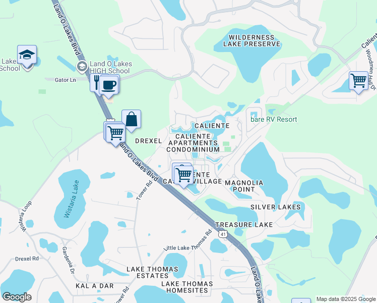 map of restaurants, bars, coffee shops, grocery stores, and more near 6714 Dali Avenue in Land O' Lakes