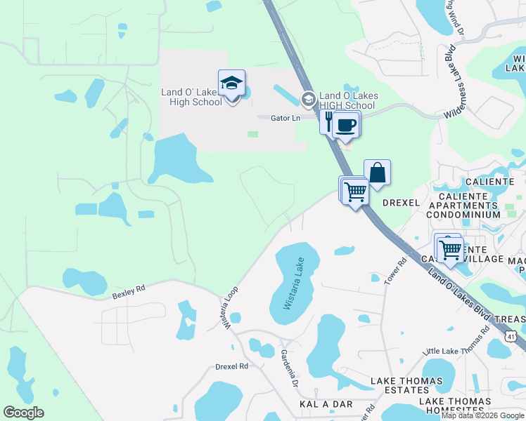 map of restaurants, bars, coffee shops, grocery stores, and more near 21027 Monza Loop in Land O' Lakes