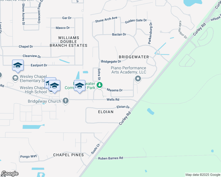 map of restaurants, bars, coffee shops, grocery stores, and more near 31039 Masena Drive in Wesley Chapel