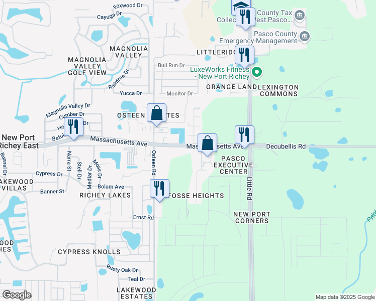 map of restaurants, bars, coffee shops, grocery stores, and more near 8130 Massachusetts Avenue in New Port Richey