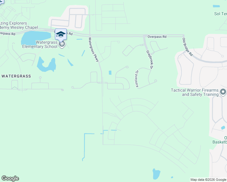 map of restaurants, bars, coffee shops, grocery stores, and more near 33204 Azalea Ridge Drive in Wesley Chapel