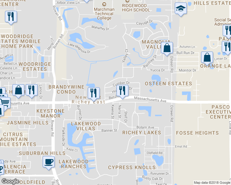 map of restaurants, bars, coffee shops, grocery stores, and more near 7510 Hollyridge Drive in New Port Richey