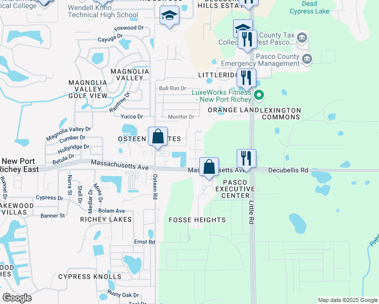 map of restaurants, bars, coffee shops, grocery stores, and more near 8138 Treelet Court in New Port Richey