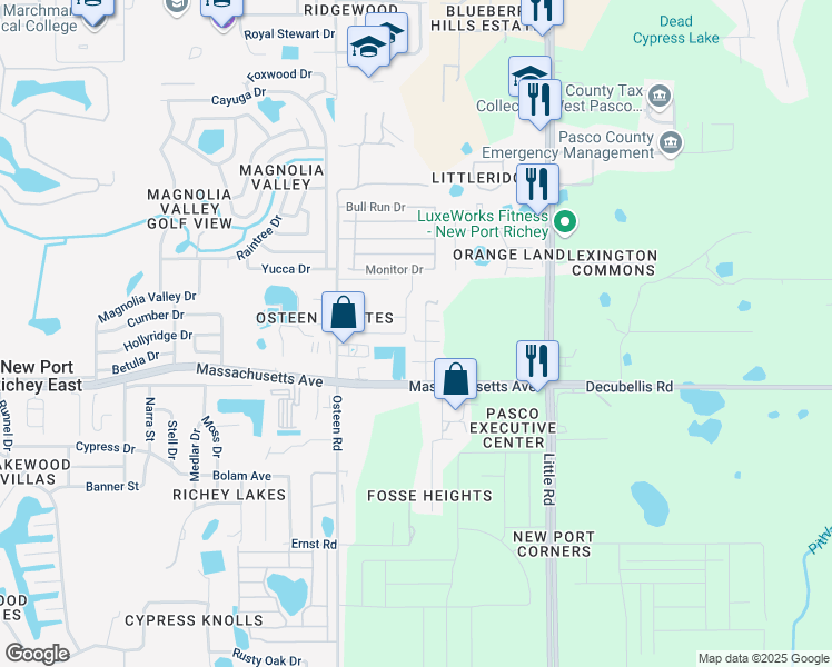 map of restaurants, bars, coffee shops, grocery stores, and more near 8138 Treelet Court in New Port Richey