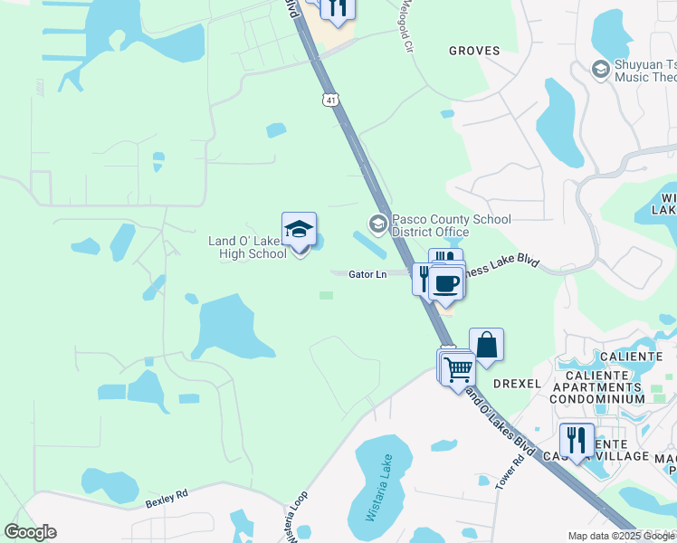 map of restaurants, bars, coffee shops, grocery stores, and more near 20325 Gator Lane in Land O' Lakes