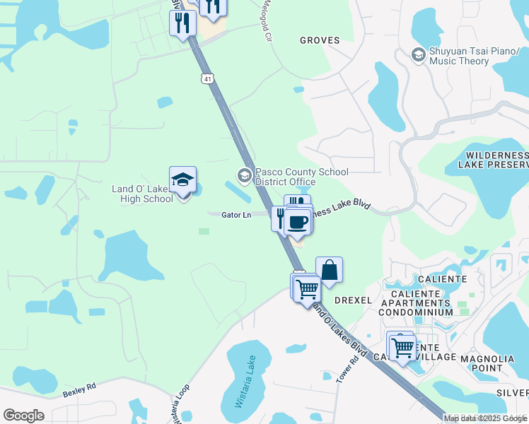 map of restaurants, bars, coffee shops, grocery stores, and more near 20325 Gator Lane in Land O' Lakes