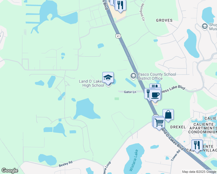 map of restaurants, bars, coffee shops, grocery stores, and more near 20325 Gator Lane in Land O' Lakes