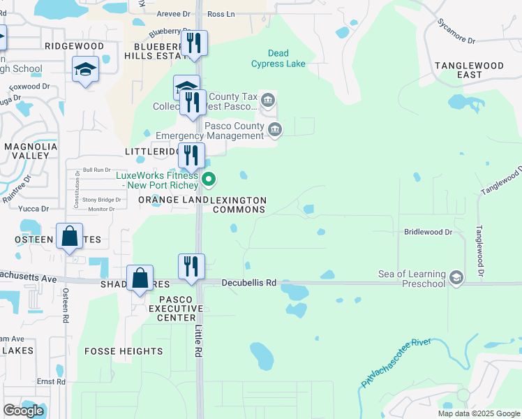 map of restaurants, bars, coffee shops, grocery stores, and more near 8708 Corinthian Way in New Port Richey