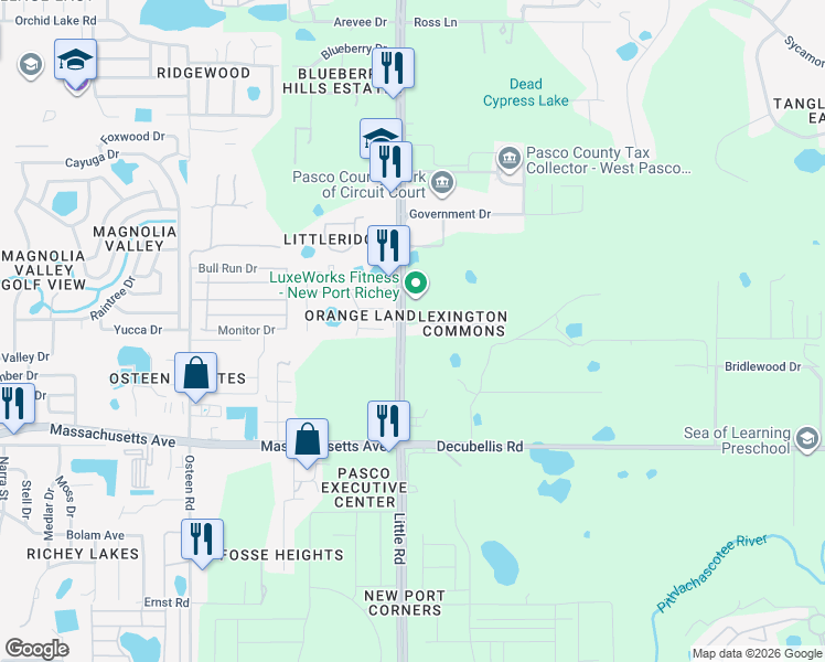 map of restaurants, bars, coffee shops, grocery stores, and more near 8506 Corinthian Way in New Port Richey