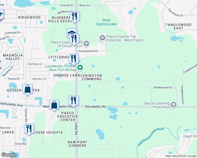 map of restaurants, bars, coffee shops, grocery stores, and more near 8651 Corinthian Way in New Port Richey