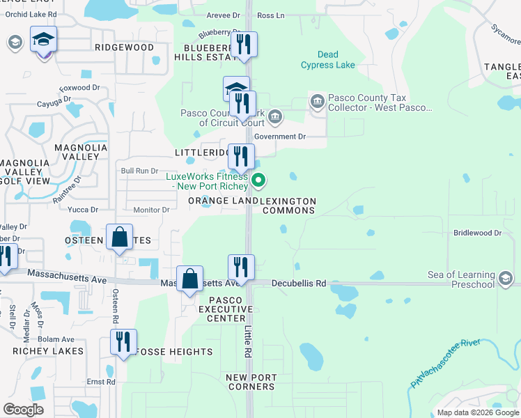 map of restaurants, bars, coffee shops, grocery stores, and more near 8506 Corinthian Way in New Port Richey