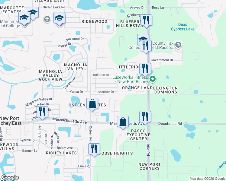 map of restaurants, bars, coffee shops, grocery stores, and more near 8134 Stony Bridge Drive in New Port Richey