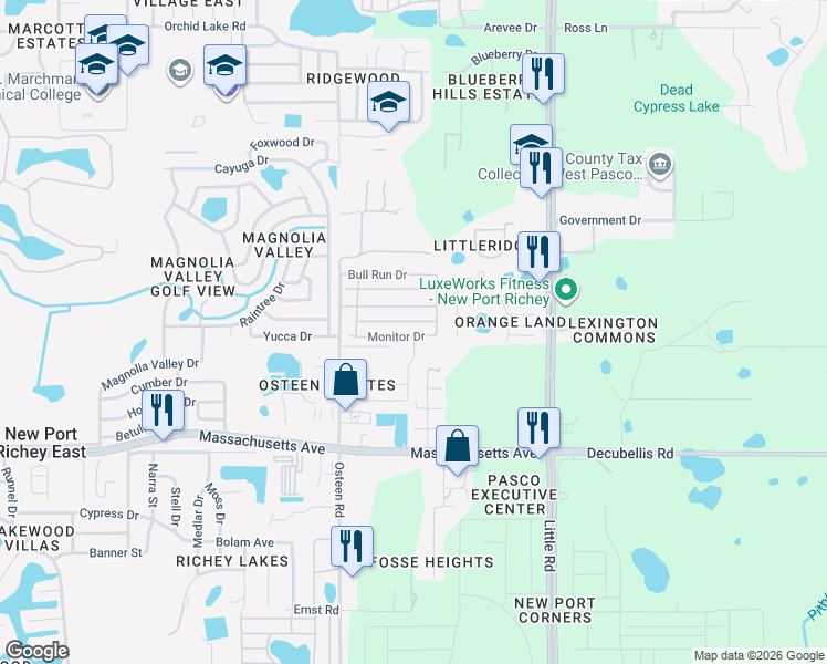 map of restaurants, bars, coffee shops, grocery stores, and more near 8134 Stony Bridge Drive in New Port Richey
