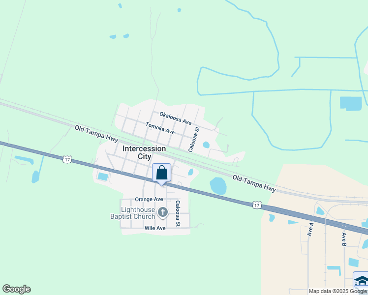 map of restaurants, bars, coffee shops, grocery stores, and more near 1580 Caloosa Street in Intercession City