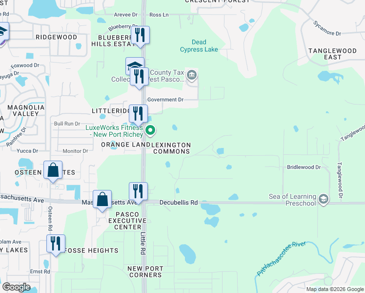 map of restaurants, bars, coffee shops, grocery stores, and more near 8651 Corinthian Way in New Port Richey