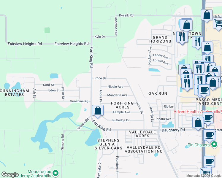 map of restaurants, bars, coffee shops, grocery stores, and more near 37136 Nicole Avenue in Zephyrhills