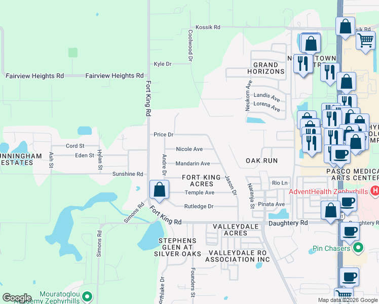 map of restaurants, bars, coffee shops, grocery stores, and more near 37204 Nicole Avenue in Zephyrhills