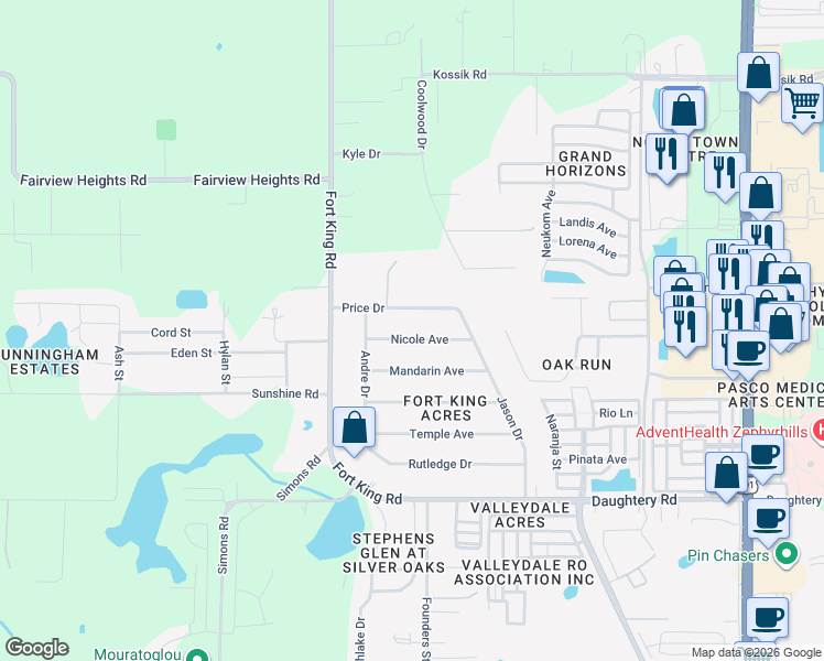 map of restaurants, bars, coffee shops, grocery stores, and more near 37136 Nicole Avenue in Zephyrhills