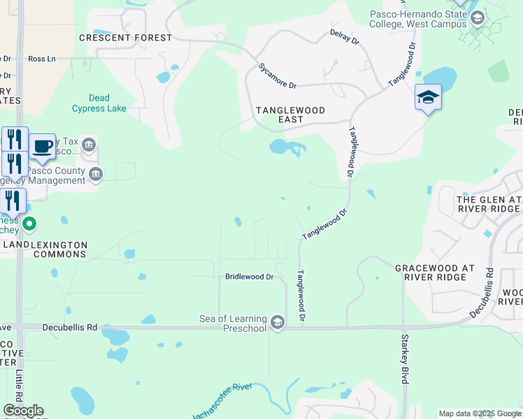 map of restaurants, bars, coffee shops, grocery stores, and more near 9345 Rookery Road in New Port Richey