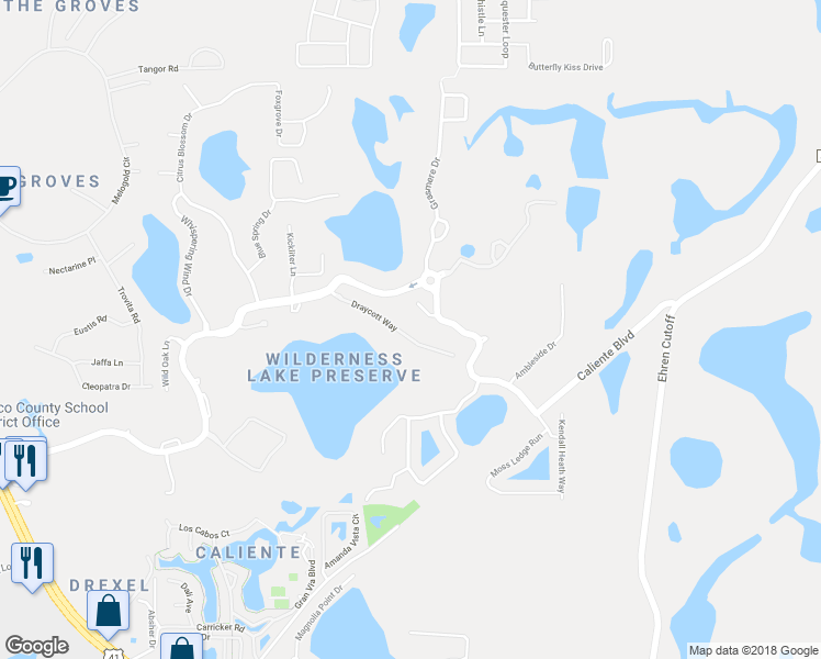 map of restaurants, bars, coffee shops, grocery stores, and more near 21553 Draycott Way in Pasco County