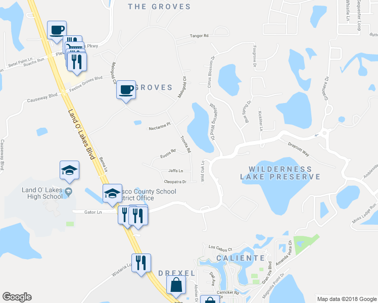 map of restaurants, bars, coffee shops, grocery stores, and more near 21900 Eustis Road in Land O' Lakes