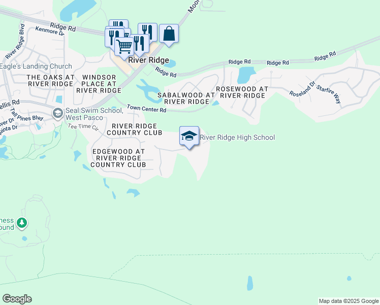 map of restaurants, bars, coffee shops, grocery stores, and more near 11646 Town Center Road in New Port Richey