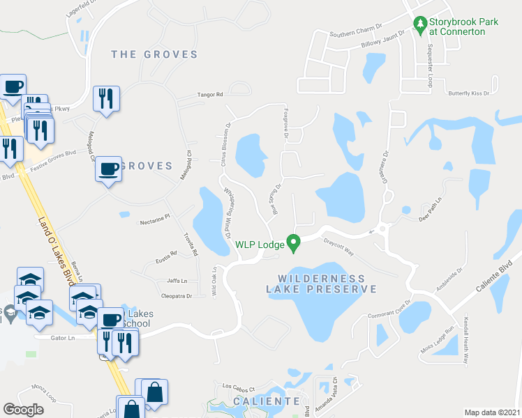 map of restaurants, bars, coffee shops, grocery stores, and more near 7602 Citrus Blossom Drive in Land O' Lakes