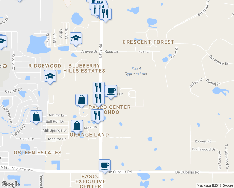 map of restaurants, bars, coffee shops, grocery stores, and more near Citizens Dr in New Port Richey