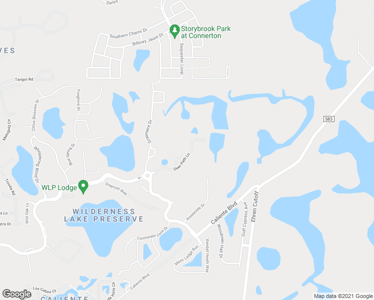 map of restaurants, bars, coffee shops, grocery stores, and more near 7545 Deer Path Lane in Land O' Lakes