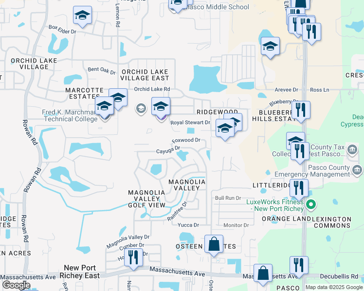 map of restaurants, bars, coffee shops, grocery stores, and more near 7844 Foxwood Drive in New Port Richey