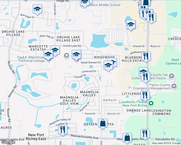 map of restaurants, bars, coffee shops, grocery stores, and more near 7844 Foxwood Drive in New Port Richey
