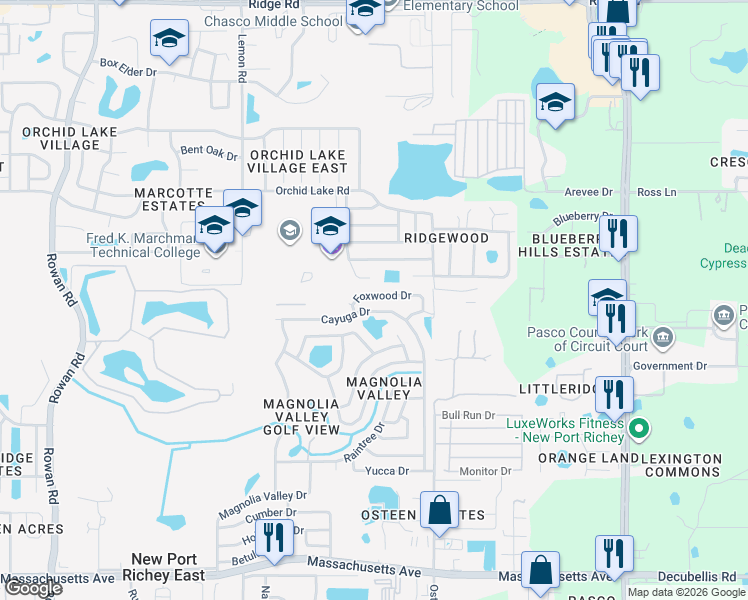map of restaurants, bars, coffee shops, grocery stores, and more near 7824 Foxwood Drive in New Port Richey