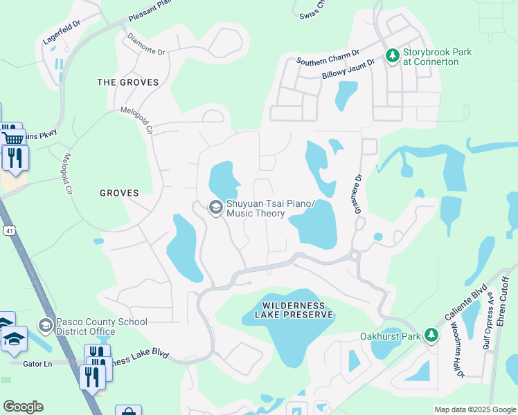 map of restaurants, bars, coffee shops, grocery stores, and more near 7706 Blue Spring Drive in Land O' Lakes