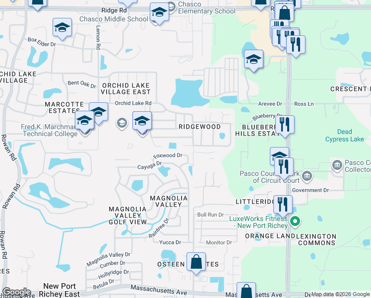 map of restaurants, bars, coffee shops, grocery stores, and more near 7944 Royal Stewart Drive in New Port Richey