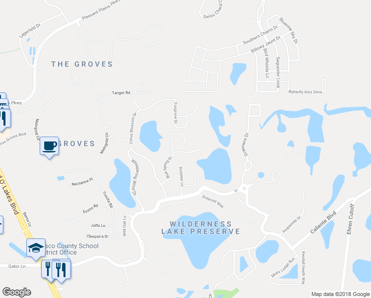 map of restaurants, bars, coffee shops, grocery stores, and more near 7741 Blue Spring Drive in Pasco County
