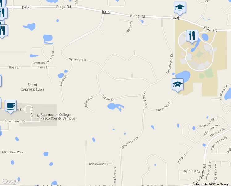 map of restaurants, bars, coffee shops, grocery stores, and more near 9501 Dantel Drive in New Port Richey