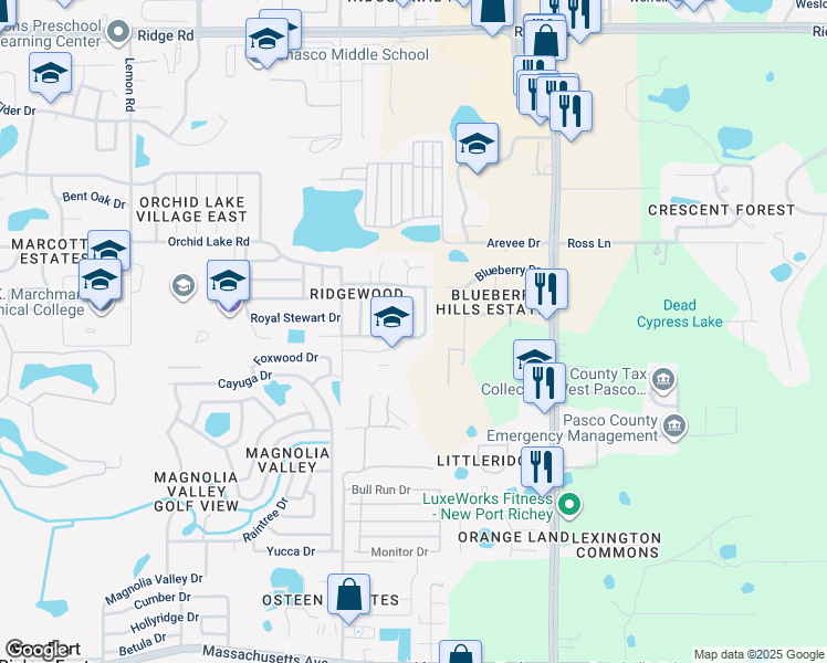 map of restaurants, bars, coffee shops, grocery stores, and more near 8133 Cameron Cay Court in New Port Richey