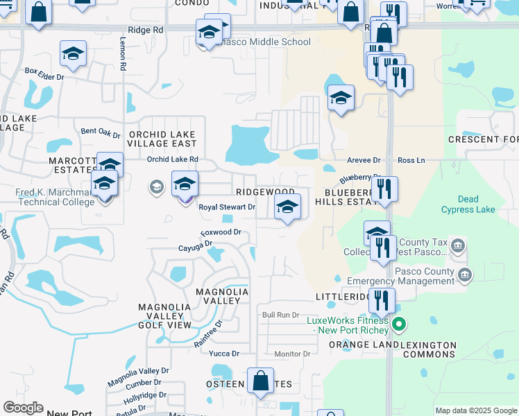map of restaurants, bars, coffee shops, grocery stores, and more near 7944 Royal Stewart Drive in New Port Richey
